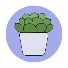 Succulent In A Pot In Colored Doodle