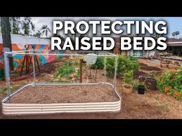 Pest Proof A Raised Bed