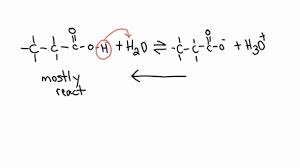 Propanoic Acid Dissolved In Water