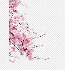 Pink Flowers Cherry Blossom Cerasus