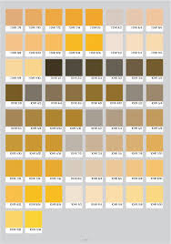 Flat Color Palette Pantone Colour