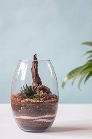 Own Terrarium