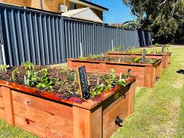 Wicking Beds Gaias Organic Gardens