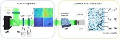 single shot polarimetry of vector beams