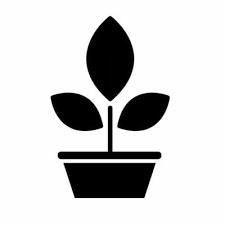 Potted Plant Vector Art Icons And