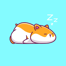 Cute Hamster Sleeping Cartoon Vector