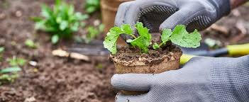 National Garden Month April 2025