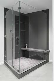 Frameless Glass Shower Doors