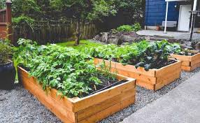 Raised Bed Vegetable Gardening