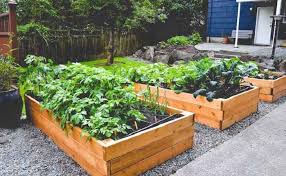 The Benefits Of Raised Bed Gardening