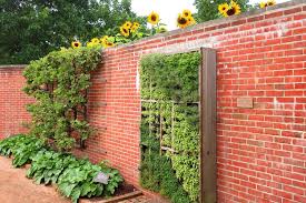 Creative Small Garden Ideas On A Budget