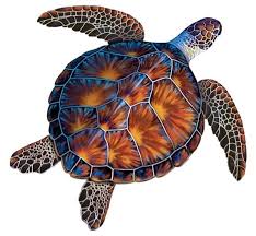Sea Turtle Pool Mosaic Made In Usa