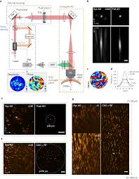 deep tissue multi photon imaging using
