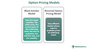 Black Scholes Model Option
