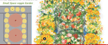 Creating A Potager Kitchen Garden
