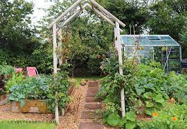 How To Start A Vegetable Garden From