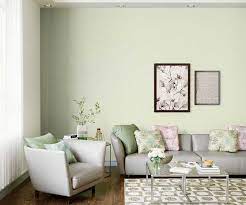 Celadon 0w50 House Wall Painting