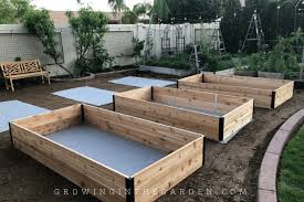 Raised Bed Garden Design Tips Growing