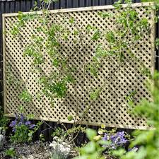 Lilleshall Diamond Lattice Trellis