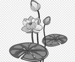 Lotus Flower Icon Classical Black White