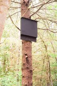 6 Free Bat House Plans