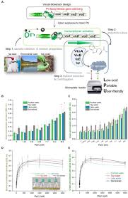 Inducible Proviolacein Biosynthesis