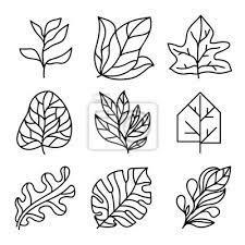 Leaves Icon Set Leaves Logo Design And