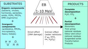 electron beam water radiolysis