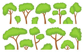 Garden Maple Oak Birch Aspen Ash