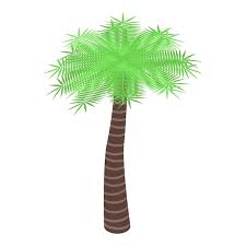 Premium Vector Garden Palm Tree Icon