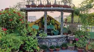 Couple Builds Organic Terrace Garden