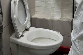 How To Fix A Leaking Toilet Or Cistern