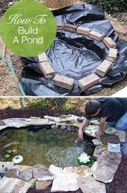 Ponds Backyard Building A Pond