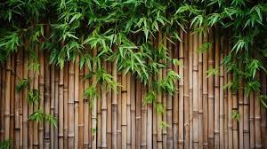 Textured Bamboo Fence Wall Background