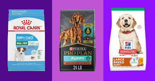 9 Best Dog Food For Puppies The
