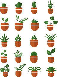 House Plants In Pots Icon Set