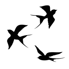 Swallow Bird Silhouette Design Bird