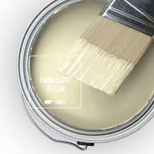 Low Odor Interior Paint Primer
