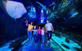 Sea Life Orlando Aquarium At Icon Park