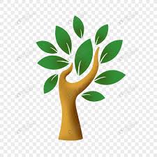 Tree Icon Tree Logo Creative Png
