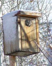 Feature Story Owl Box