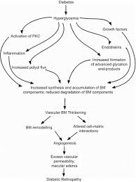 Vascular Basement Membrane Thickening