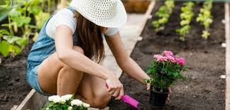 Seasonal Gardening Tips Preparing Your