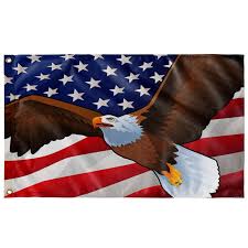 Bald Eagle American Icons Wall Flag