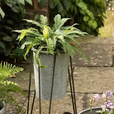 Buy Tall Galvanised Planter With Stand