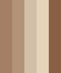 Coffee Color Scheme Brown