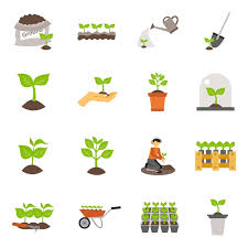Plant Pot Icon Images Free