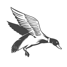 Wild Duck Icon On White Background