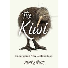 The Kiwi Endangered New Zealand Icon