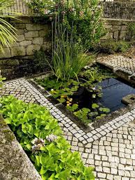 Small Stone Pond With Aquatic Plants